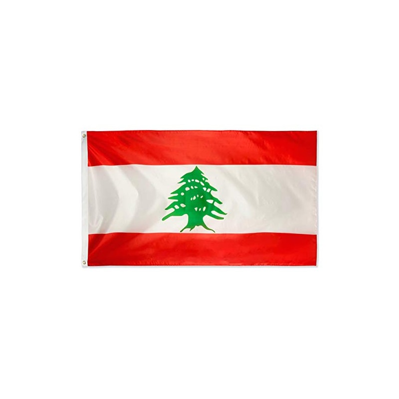DANF Lebanon Flag 3x5 Foot Lebanese National Banner