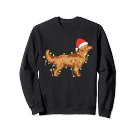 Christmas Lights Golden Retriever Dog Lover Funny Gift Sweatshirt