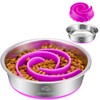 2-in-1 Metal Dog Bowl with Slow Feeder Insert, Stainless Steel