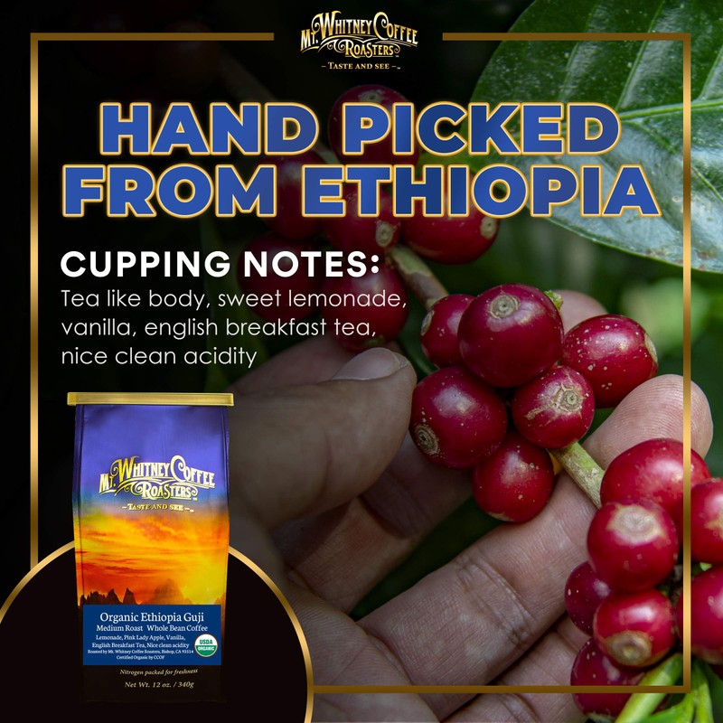 Mt. Whitney Organic Ethiopia Guji Coffee (Whole Bean, 12 Oz)