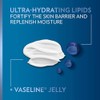 Vaseline Intensive Care Advanced Repair Fragrance Free Moisture Body Lotion