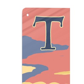 Lantern Press Tucson, Arizona, Desert Cactus Trail Scene at Sunset (12x18 Aluminum Wall Sign, Wall Decor Ready to Hang)