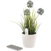 Royal Gardineer Sensor: 4in1 – Plant sensor with Bluetooth App