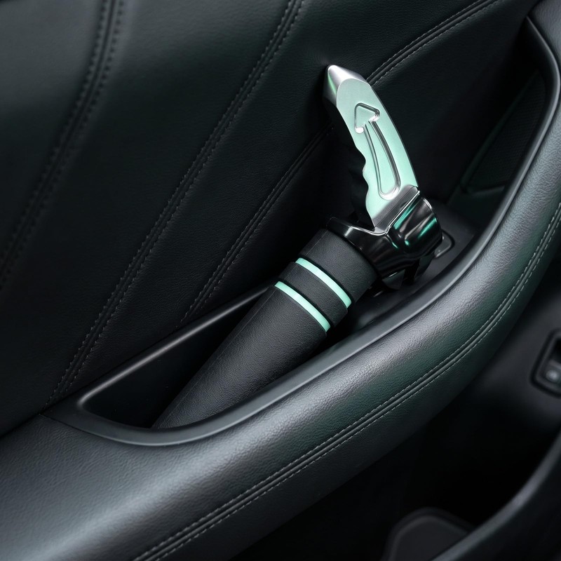 Meralo 3-in-1 Portable Car Handle Mobility Aid for Disabled and