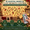 Luces LED flexibles para pared – YUO-987-JUI WAQR912, 5.2 ft,