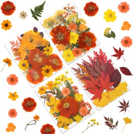 LUXEEASE 80P Autumn Tone Dried Flowers for Crafts - Real Natural Pressed Flowers in Warm Fall Hues for Resin, DIY Art, Jewelry, Thanksgiving Decor & Pumpkin Decoration – Tweezers Included