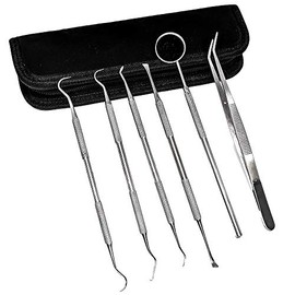 Professional Dental Tools Kit, Teeth Cleaning Oral Care Kit, Tooth Pick Dental Mirror, Tartar Scraper, Dental Probe, Dental Scaler, Dental Tweezer 6 pcs with Pouch