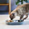 7 Ruby Road Cute Cat Bowls for Indoor Cats and