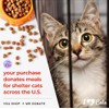 iHeartCats Bone Broth for Cats - Bone Broth & Mushroom