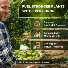 Leaves and Soul Professional Lime Tree Fertilizer Liquid Concentrate - 6-4-6 Blend for Fruit Tree Fertilizer, Garden - Liquid Plant Food for Lime Trees in Pots or Outdoors - 8oz