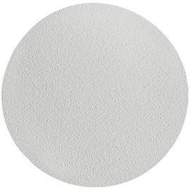 Whatman 1825-021 Glass-Fibber-Filters (Pack of 100)