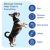 animigo Multivitamins and Minerals for Dogs - 120 Soft Chews