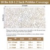 10 lbs White Pebbles for Indoor Plants, 0.8-1.2 Inch Small