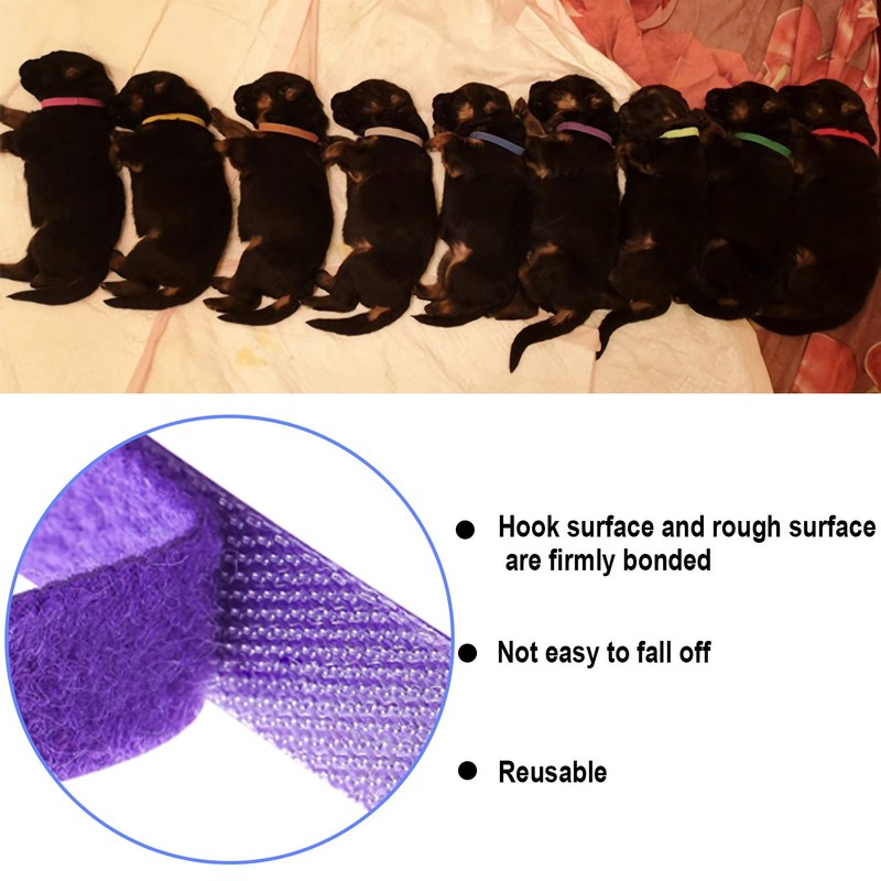 15 Pcs Puppy Whelping Collars Newborn Pet Collars Double-sided Soft