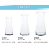 Jug and carafe, Carafe (Small)