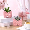 2 Pcs Coquette Bow Succulent Pots with Drainage Pink Bowtie