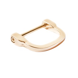 Bobeey 4 piezas 30 mm de ancho en forma de U herradura D-anillos, grillete de rosca D anillo para hebilla, cinturón, DIY piel Craft accesorios, Bolsos accesorios BBC14 ..., Dorado claro, 2.5cm, 4