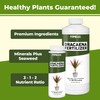 TPS NUTRIENTS Dracaena Fertilizer for All Dracaena Plants and Trees,