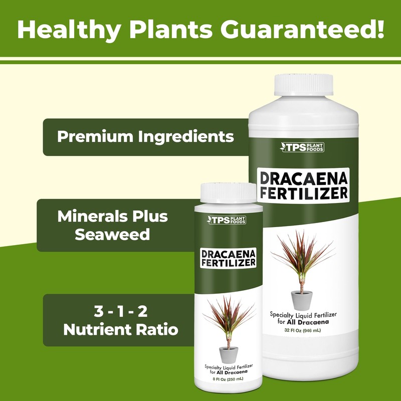 TPS NUTRIENTS Dracaena Fertilizer for All Dracaena Plants and Trees,