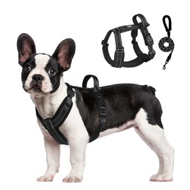UNA MASCOTA Arnés para Perros Reflectante y Transpirable - Correa de Pecho Cómoda para Perros con Correa 1.5m (Negro, M)