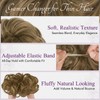 BARSDAR 2 Pieces Messy Bun Hairpiece with Elastic Band, Brown