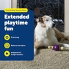 PetSafe Busy Buddy Bouncy Bone Dog Toy, Small