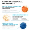 Protector Solar La Roche-posay Anthelios Melt-in Milk Spf 100 250