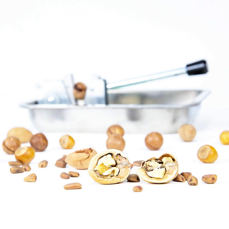 Mechanical Heavy Duty Nut Cracker Walnut Pecan Hazelnut Sheller with