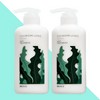 Cheongmijeong Kelp Natural Treatment 500mlX2 Box / 청미정 다시마 천연