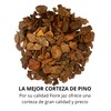 Fiore Jaz Corteza de Pino - Natural