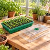 40-Cell Seed Starter Trays for Plant Propagation – 3-Piece Set