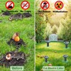 10 Pack Mole Repellent Solar Powered Snake Repellent for Yard-