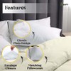 EGYPTO Polycotton Cream Single Duvet Cover Set - Soft, Breathable