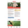 Brandt Plant Micro Nutrients. Fertilizer for your Tomatoes, Sweet Corn,