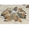 Chunxiao Fluffy Fox Tail Fur Cosplay Toy Cyote Prairie Wolf