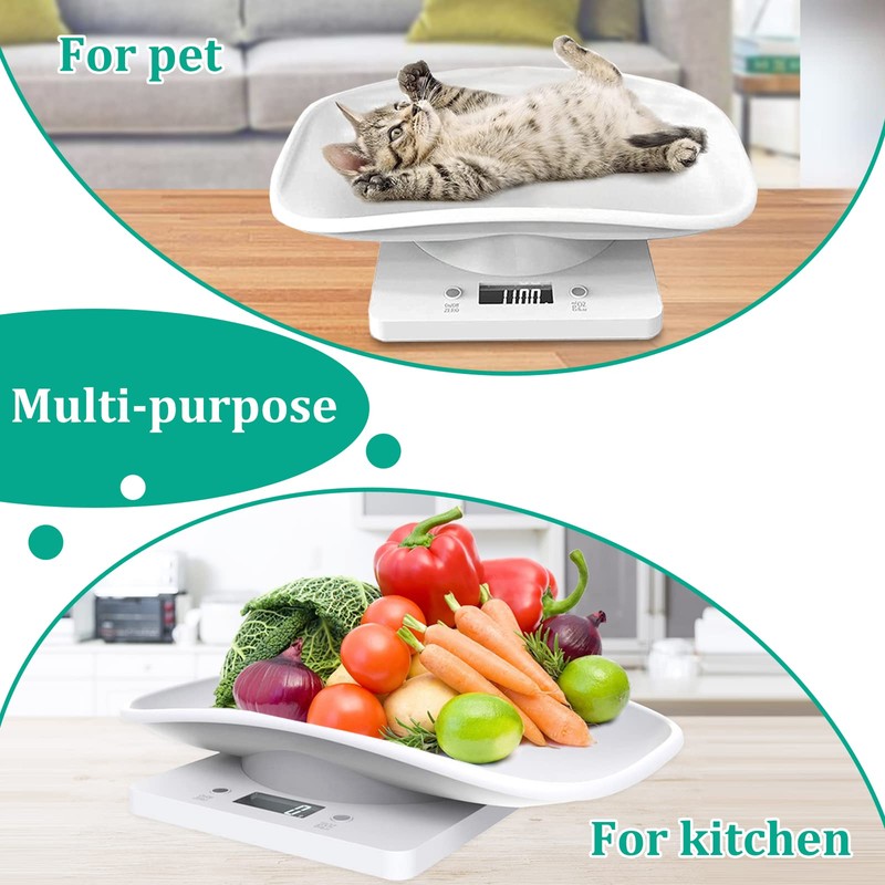 Reptiles Weight Scale,Small Animal Scale with Precision Grams,Multi-Function LED Display