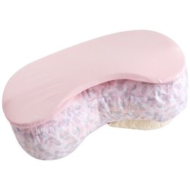 Bliss Nursing Pillow Slip Cover, Deco Leaf
