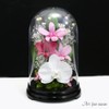 ART FOUR SEASONS ○ Phalaenopsis Orchid Denfaredome Pink Preserved Flower