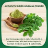 HANDPICK, Moringa Powder (500g/17.6oz) Pure Moringa Oleifera/Moringa Leaves | Resealable