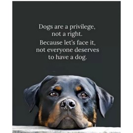 Funny dog refrigerator magnet 3 1/2 x 4 1/2