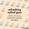 XyloBurst Gum | Xylitol Chewing Gum | Sugar Free, Gluten