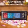 NovoGlow Verse Mini 4-Piece Fragrance Gift Set for Men -