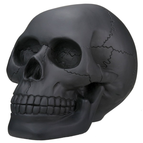 Black Skull Head Collectible Skeleton Decoration Statue