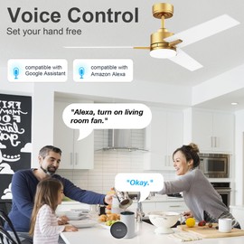 Lorpies 52inch Smart Ceiling Fan with Lights Remote,Quiet DC Motor,Dimmable,Voice Control via Alexa Google WIFI App,Outdoor Indoor Gold White Black Ceiling Fans with LED Light for Bedroom Patio Porch