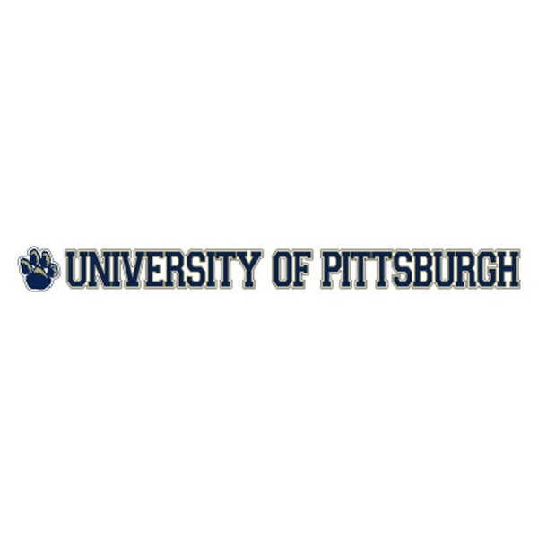 Craftique Pittsburgh (PA) Decal (PAW UNIV of Pittsburg DEC (19''), 19 in)