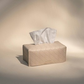OLETHA Aesthetic Rectangle Tissue Box Cover, Medium Flat Box Tissues Holder Rectangular, Woven Textured, Light Taupe