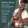 BADGER Beard Grooming Kit, 1 Each