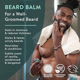 BADGER Beard Grooming Kit, 1 Each