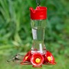 Perky-Pet Favored Pinch-Waist Glass Hummingbird Feeder with Built-in Ant Moat