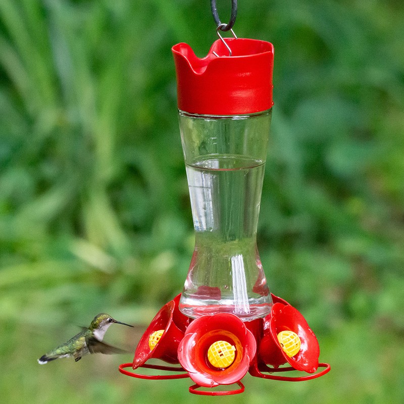 Perky-Pet Favored Pinch-Waist Glass Hummingbird Feeder with Built-in Ant Moat